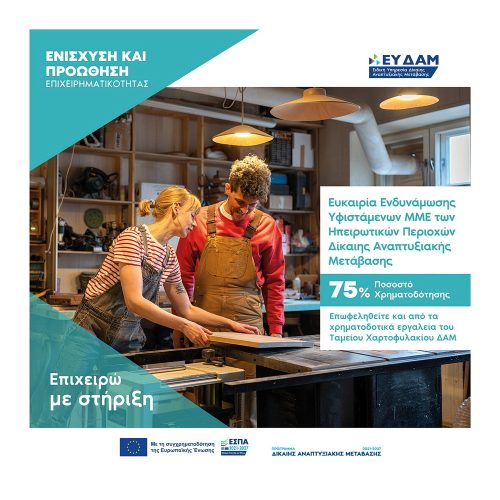 ΔΑΜ ΕΥΚΑΙΡΙΑ ΕΝΔΥΝΑΜΩΣΗΣ 1000Χ1000