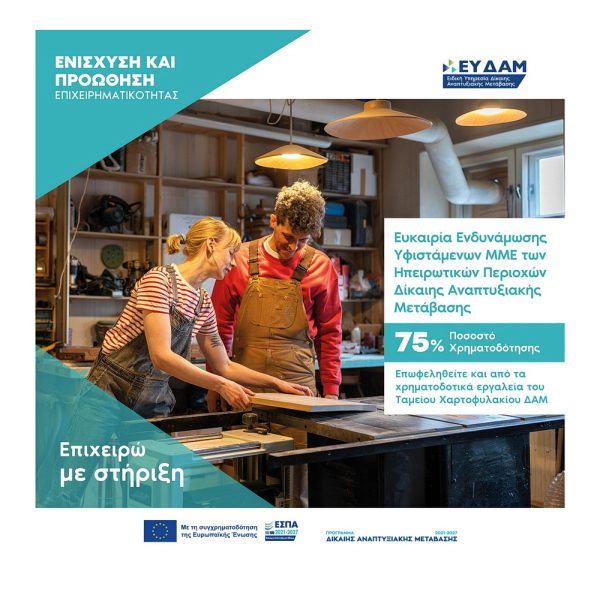 ΔΑΜ ΕΥΚΑΙΡΙΑ ΕΝΔΥΝΑΜΩΣΗΣ 1000Χ1000